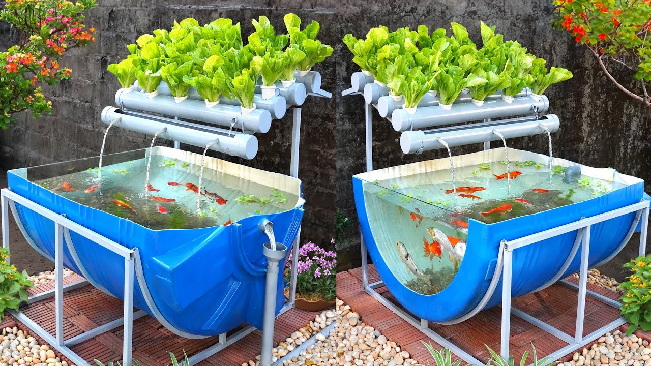 Aquaponics Market Growth Accelerated by Eco-friendly Farming