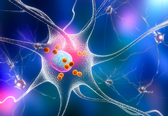 The Neurological Biomarkers Market Will Grow At Highest Pace Owing To Rising Prevalence Of Neurological Disorders