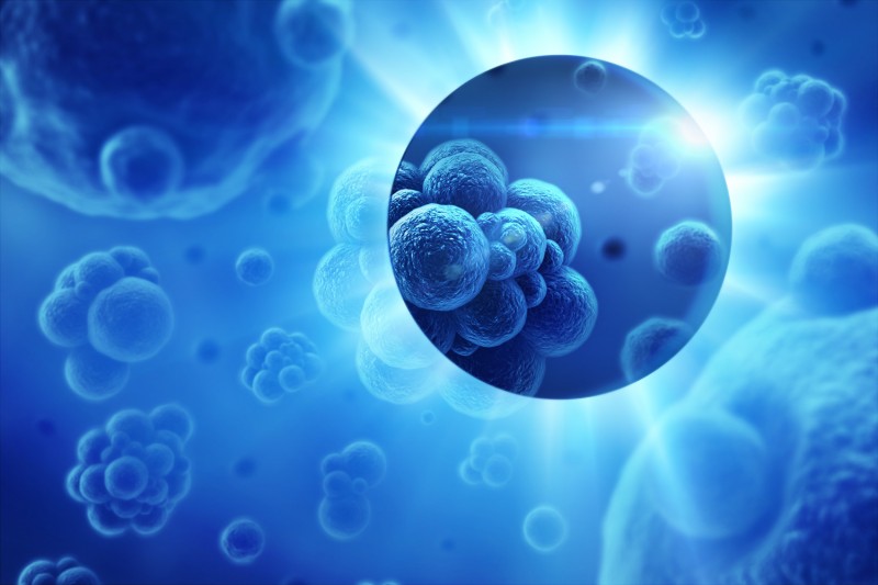 Oncology Information Systems Market Valued At Us$ 8.19 Billion In 2023 