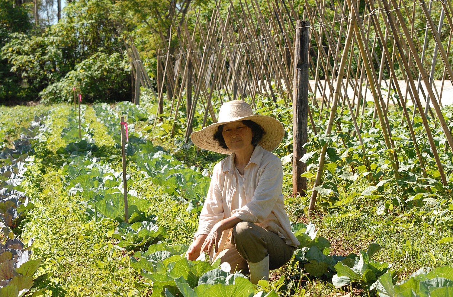 The Significance of Nutrient Recycling: Sustainable Practices for Environmental Preservation