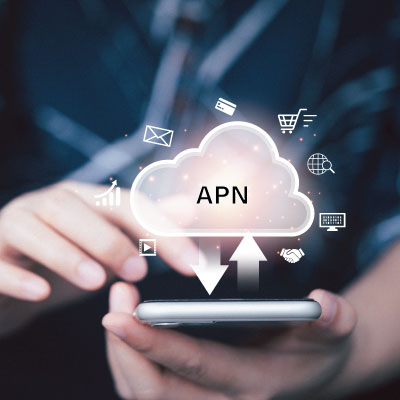 Highly secure Private APN Network for IoT devices or m2m sim