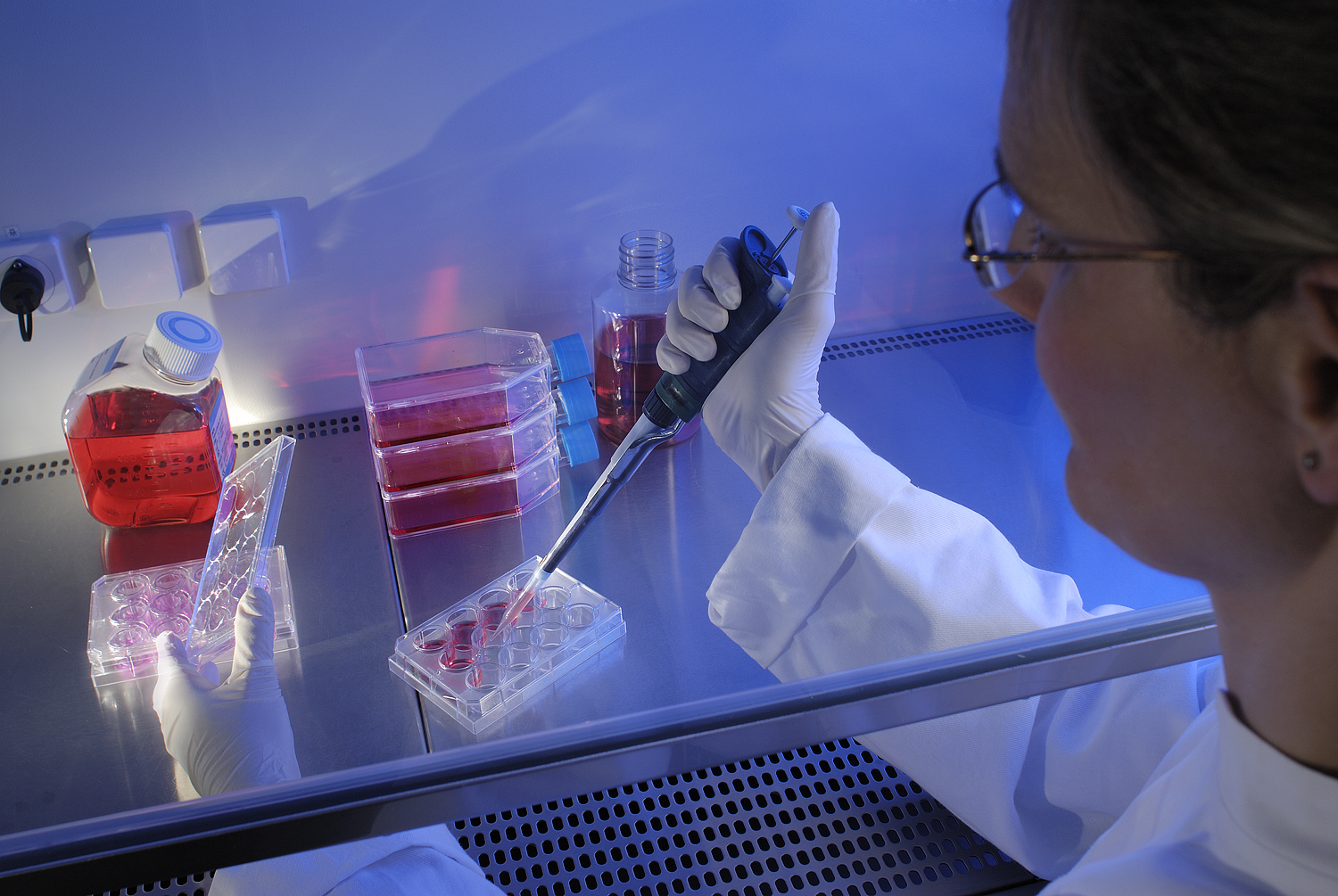 Vitro Lung Model Market Growth Accelerated by High Demand for Safer Drug Testing