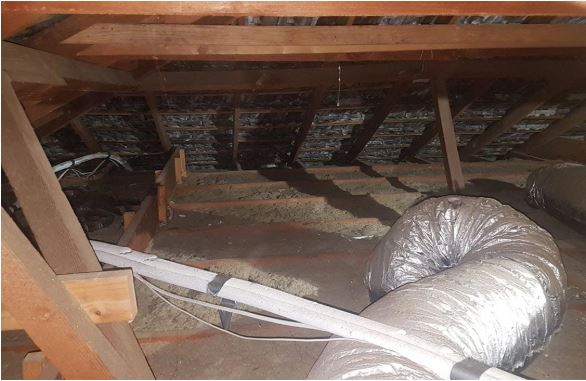 Insulation Removal Adelaide