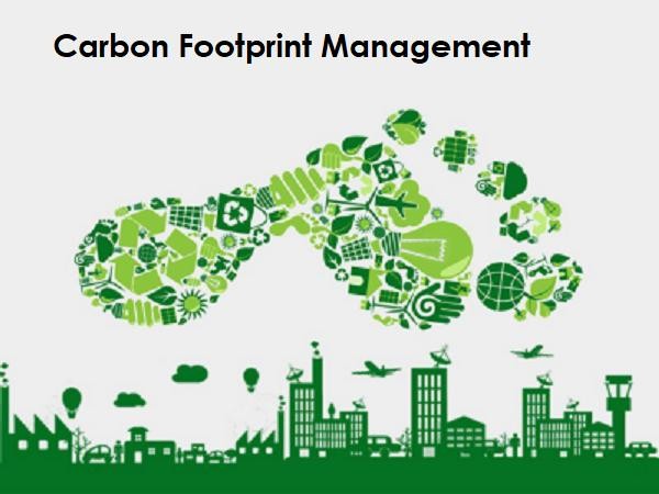 Carbon Footprint Management Market Size, Share, Regional Overview and Global Forecast 