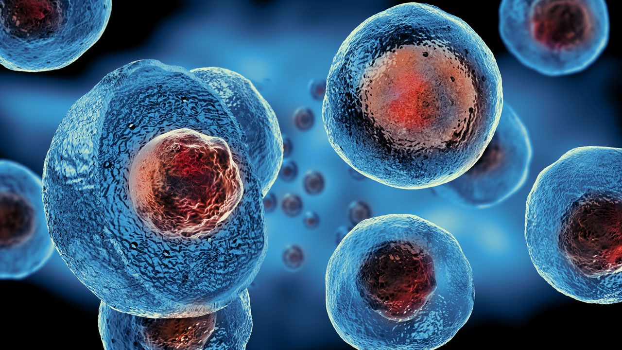 Cell Line Development Service Market 2022 Size, Dynamics & Forecast Report