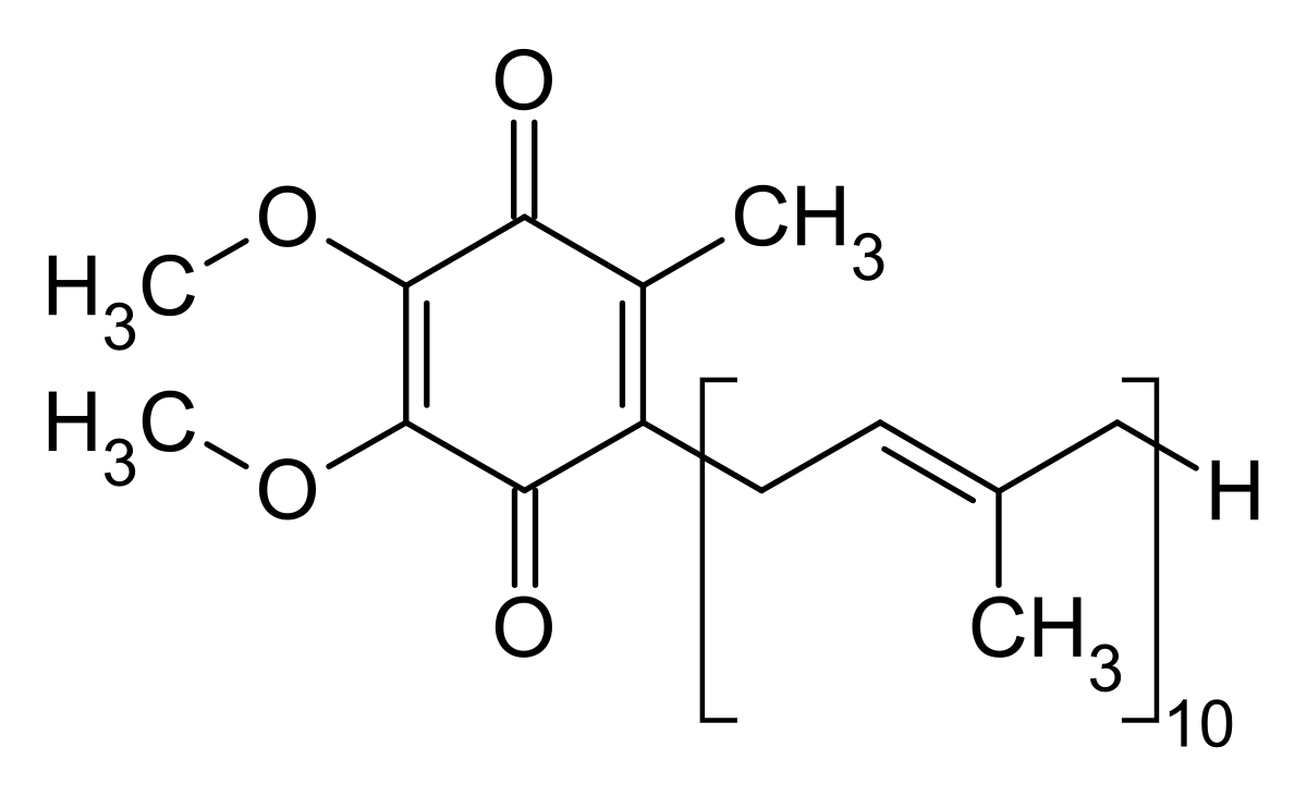 Ubiquinone Market Size, Share, Growth, Opportunities and Global Forecast 