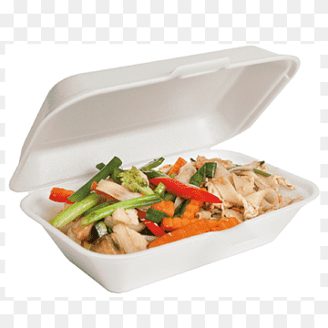 Foam Food Container Market Size, Share, Growth, Opportunities and Global Forecast 
