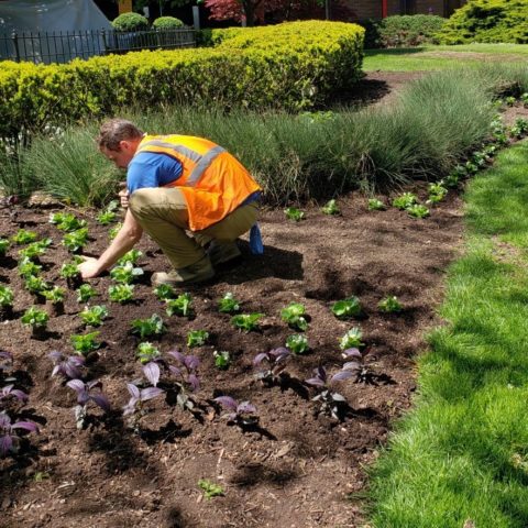 Landscaping Companies Pittsburgh PA
