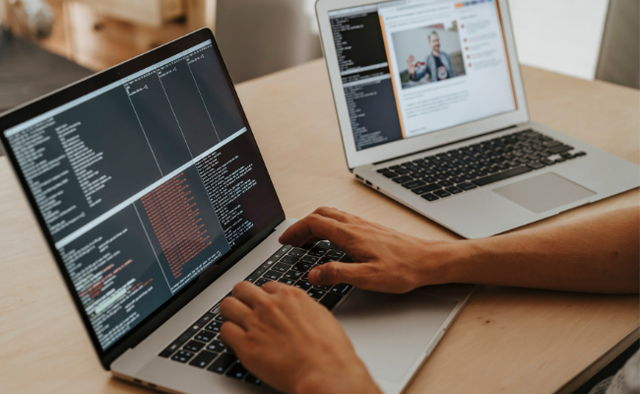How Flutter Can Help Your Business Grow?