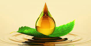Bio-Based Lubricants Market Growth Analysis Report by 2014-2022