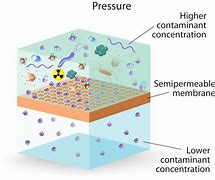 Membrane Filtration Market Size, Share & Opportunities Report by 2032: AMR 