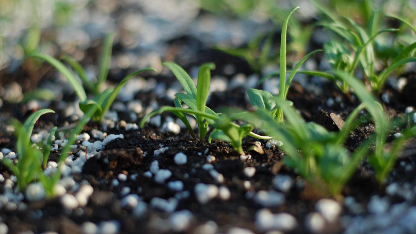 Water Soluble Fertilizers Market Size & Growth Report by 2032: AMR 