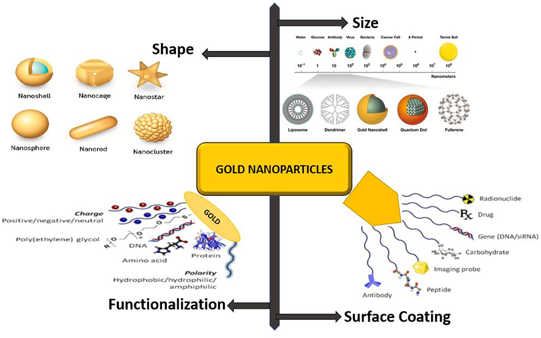 Unveiling Opportunities in the Gold Nanoparticles Market: Trends, Growth, and Applications 