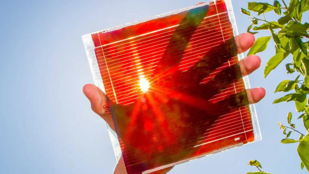 Perovskite Solar Cell Market 2022 Major Key Players and Industry Analysis Till 2030