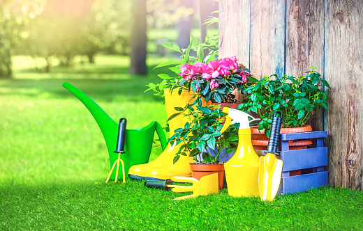 Garden and Lawn Tools Market | Global Industry Trends, Segmentation, Business Opportunities & Forecast To 2030