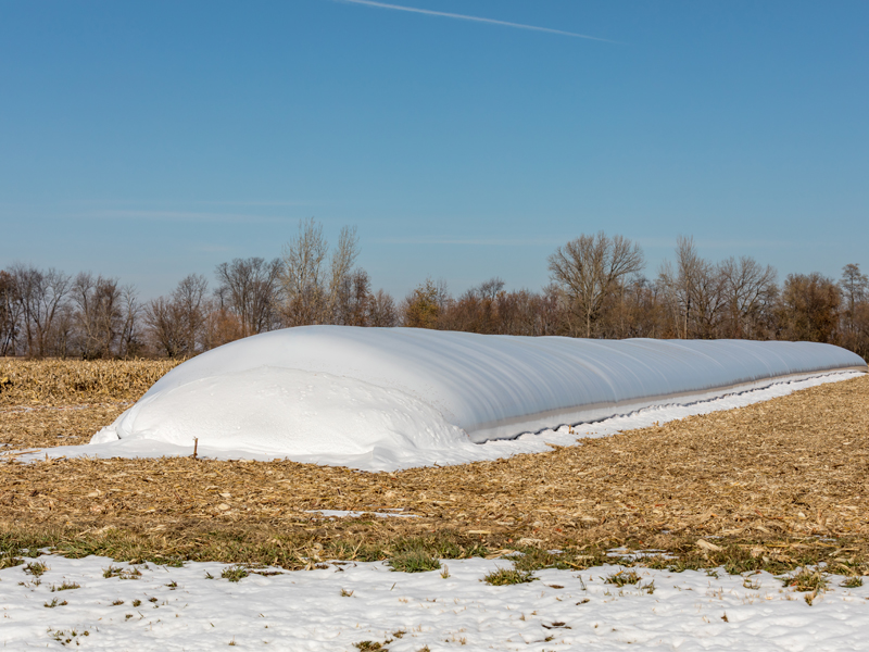 Silo Bags Market Size, Share, Growth Opportunity & Global Forecast to 2030