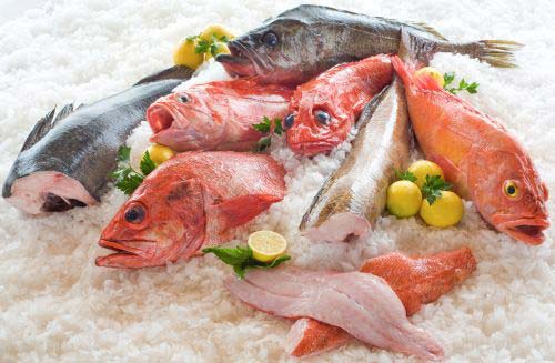 Frozen Fish & Seafood Market Size, Share, Regional Overview and Global Forecast to 2030