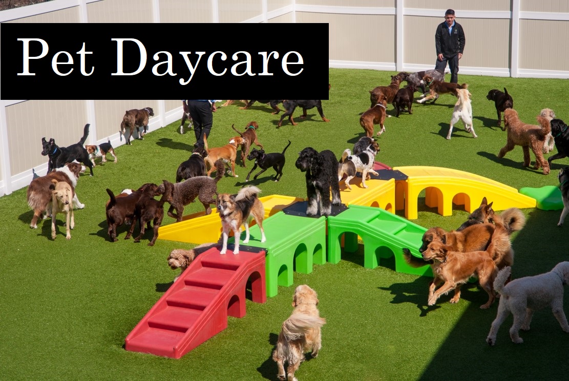 Pet Daycare Market Size, Share, Growth, Opportunities and Global Forecast to 2030