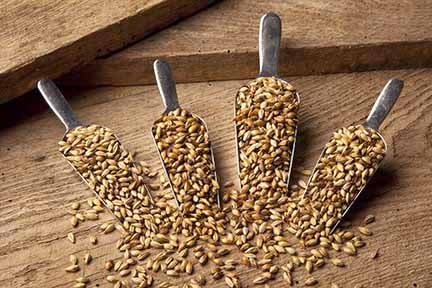 Caramel Malt Market 2022 | Industry Demand, Fastest Growth, Opportunities Analysis and Forecast To 2030
