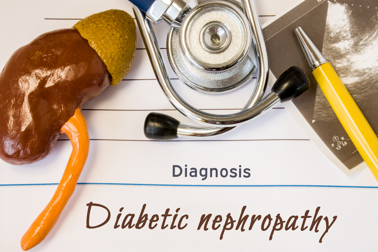 Diabetic Nephropathy Market Size, In-depth Analysis Report and Global Forecast to 2030