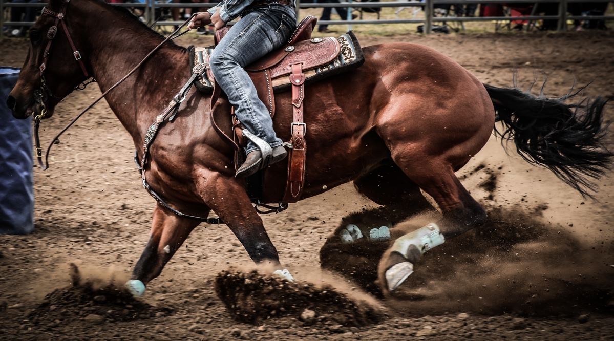 Breaking Down the Wrangler NFR 2023: Date, Time, and TV Coverage Details