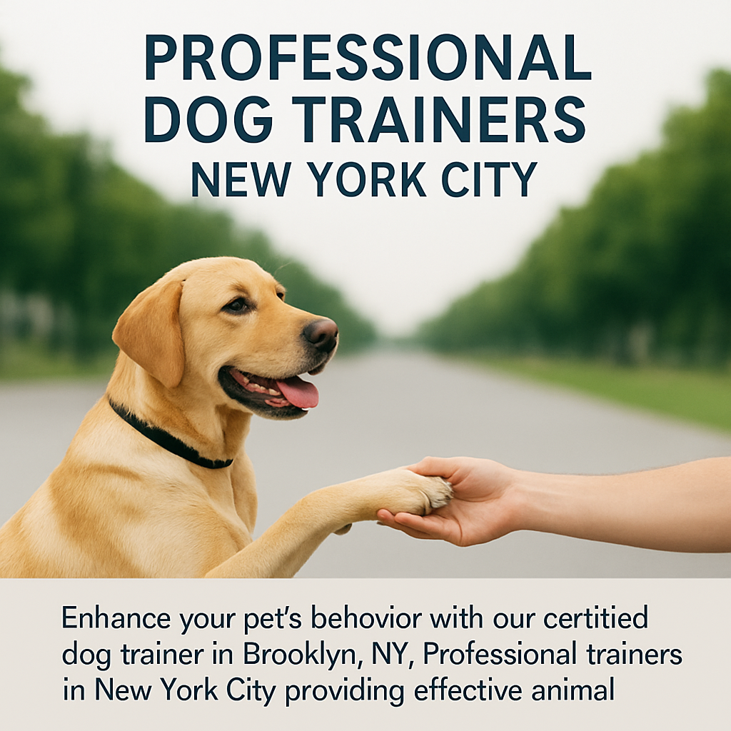 Expert Guidance for Dog Training Success