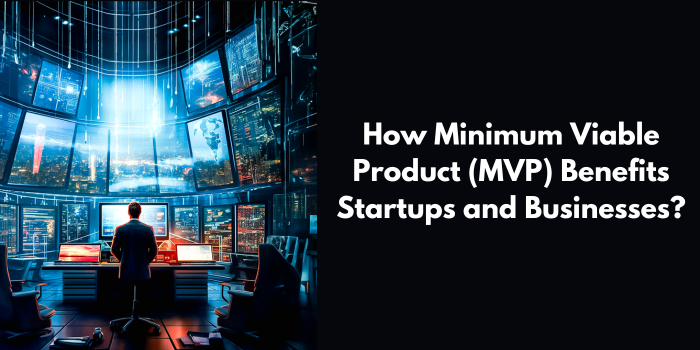 How Minimum Viable Product (MVP) Benefits Startups and Businesses?