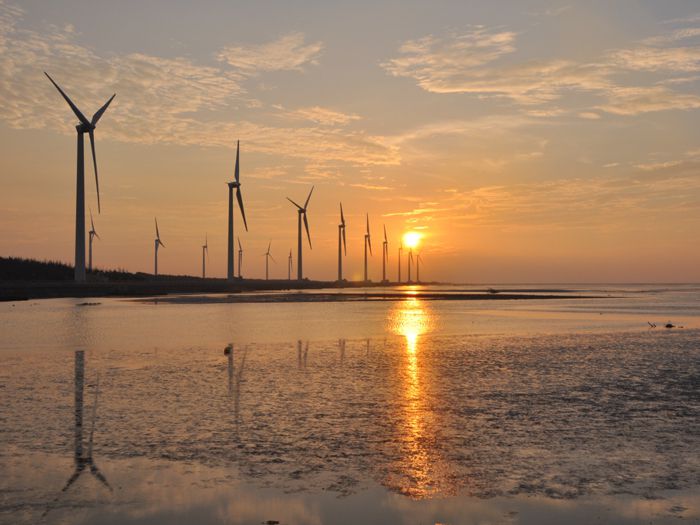 台中包車超值體驗！Dcard、PTT網友激推景點一日遊攻略