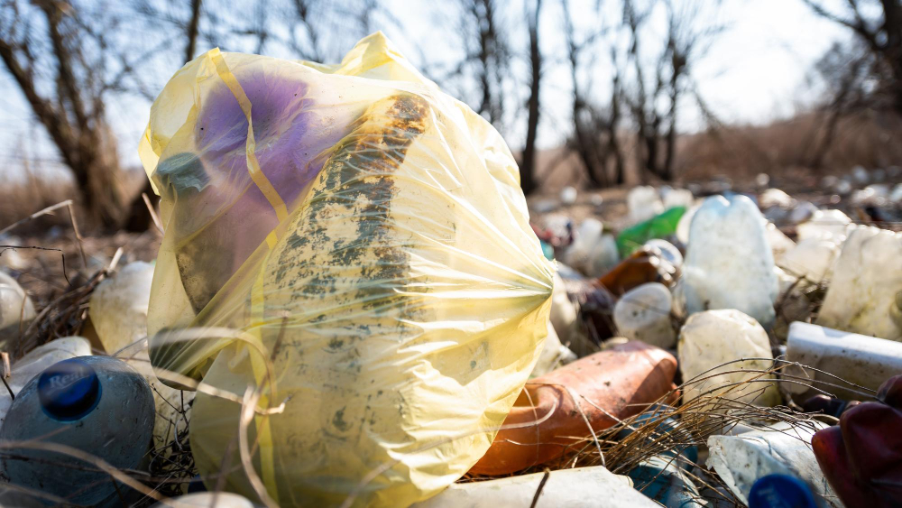 Streamlining Waste Management for Property Managers and Real Estate Professionals with Dumpster Rental Solutions