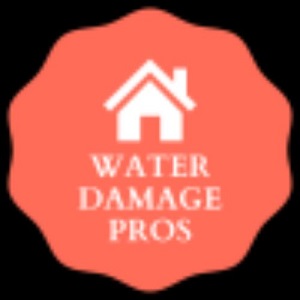 Water Damage cleanup: Why Spring Valley Homeowners Should Steer Clear