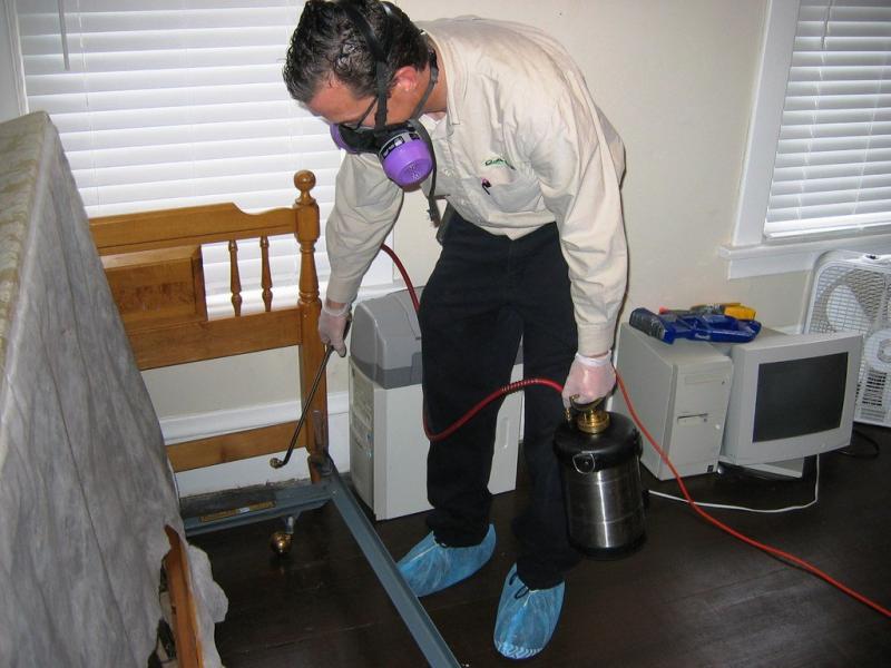 Sleep Peacefully Again - Eradicating Bed Bugs from Your Melbourne Home
