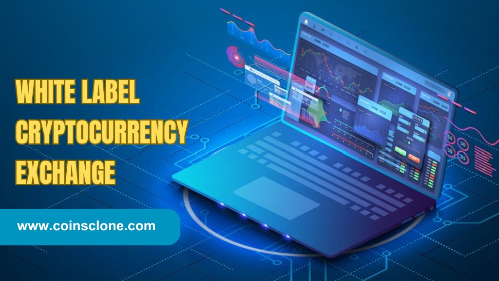 How White Label Crypto Exchanges Can Benefit Your Business