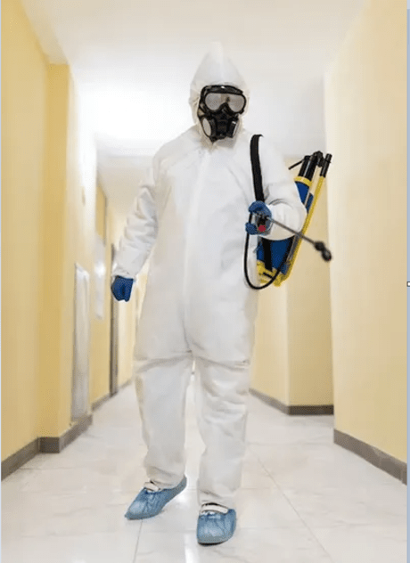 Everything You Should Know About Mold Inspection 