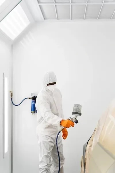 Mold Remediation: Comprehending the Mold's Impact