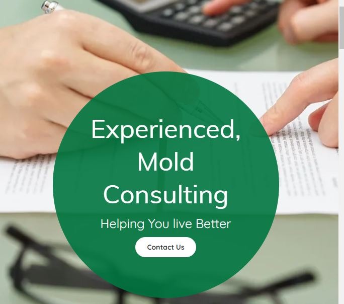Ensuring Mold-Free Environments in Houston, TX: Supreme Mold Testing & Removal Company