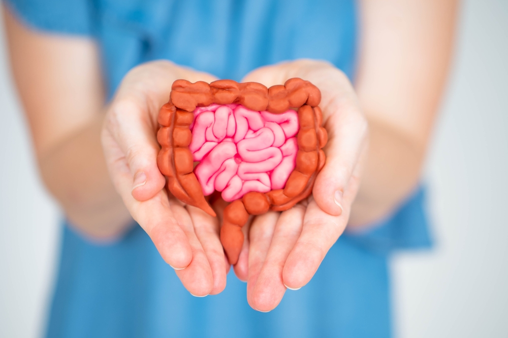 Gut Health for Busy Professionals: Effective Programs in Mumbai for a Busy Lifestyle