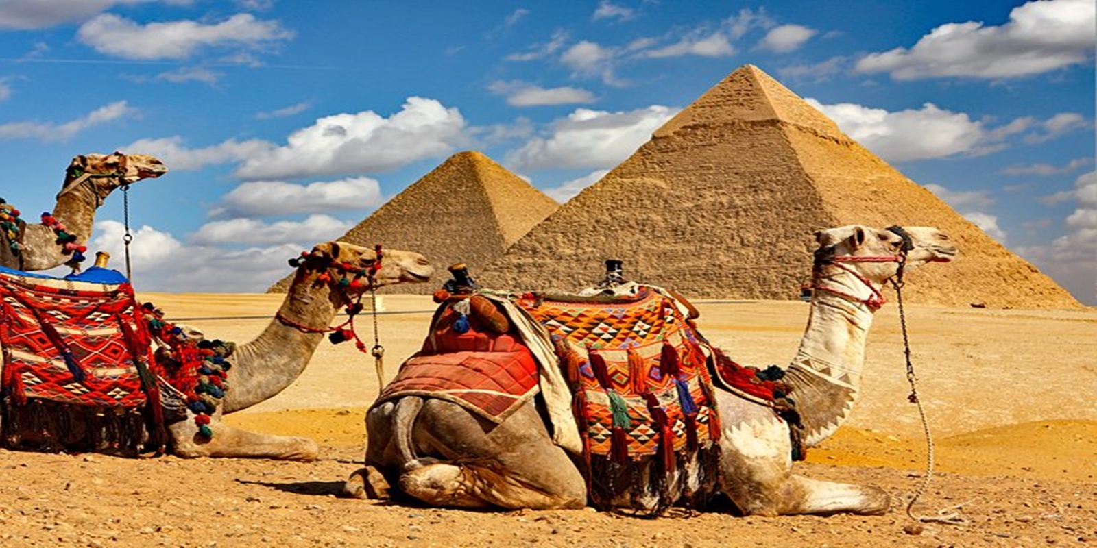 The Wonders of the Nile: An Unforgettable Cruise Experience