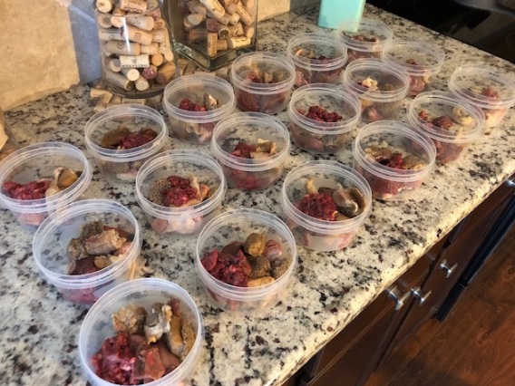 Guide to raw dog food for beginners