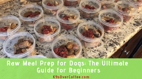 Know more about raw meal prep for dogs