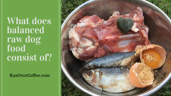 Know why balanced raw dog food is the best choice for your dog