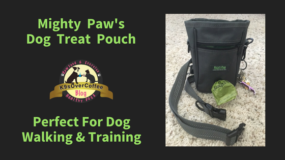 Choosing the right dog training services online