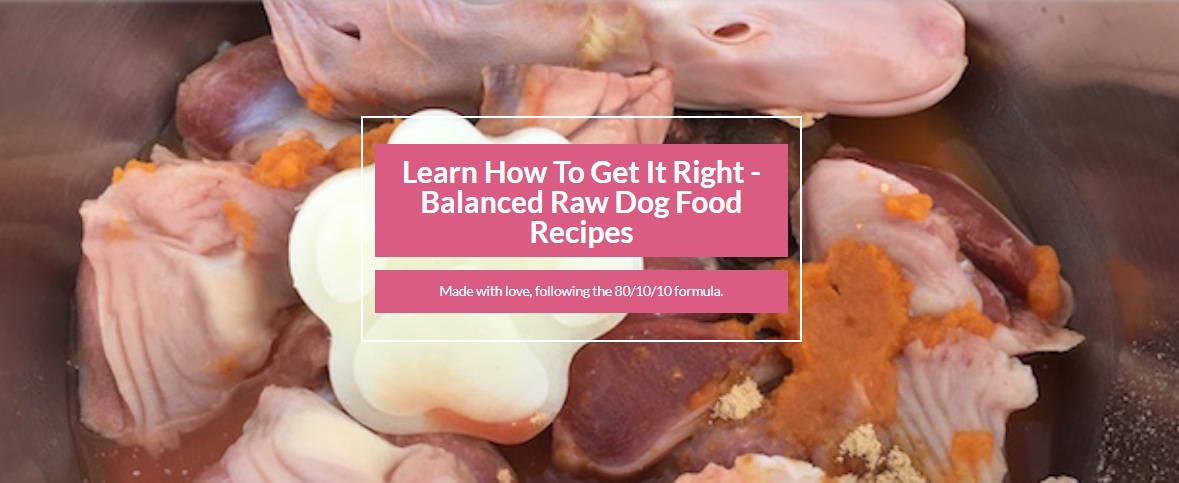 Treat your pup to a special diet of raw dog food