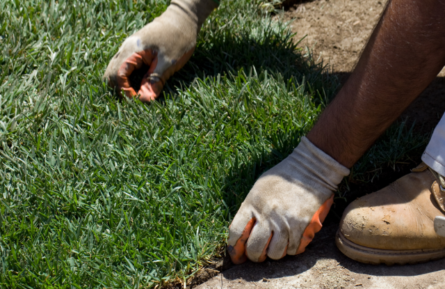 Save Time and Effort: Why Professional Sod Installation is the Right Choice for Orlando Homeowners