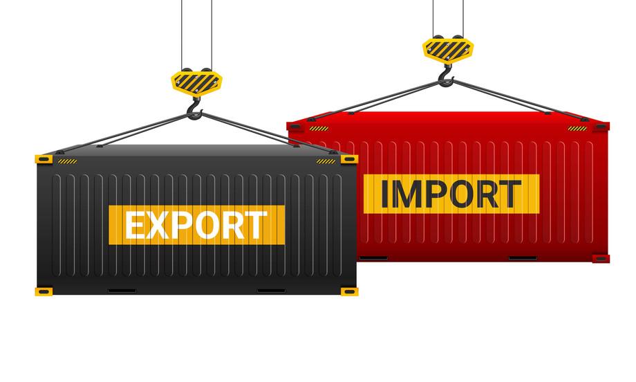A Comprehensive Guide to Importing and Exporting Data in India