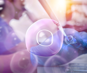 What Is Blastocyst Culture?