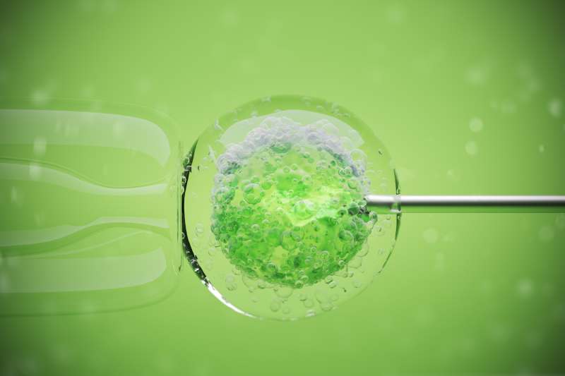 IVF Doctor With Highest Success Rate In Noida