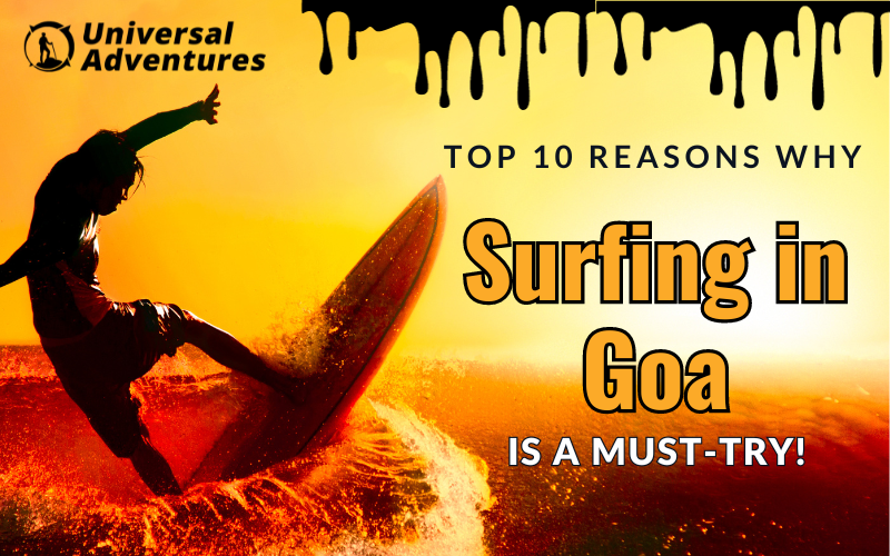 Top 10 Reasons Why Surfing in Goa is a Must-Try!
