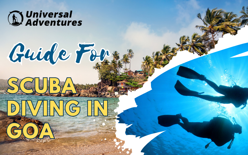 Unveiling the Underwater Wonders: A Guide to Scuba Diving in Goa