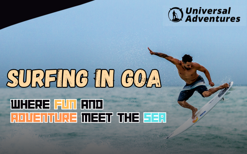 Surfing In Goa: Where Fun And Adventure Meet The Sea