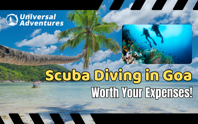 Scuba Diving in Goa: Worth Your Expenses!